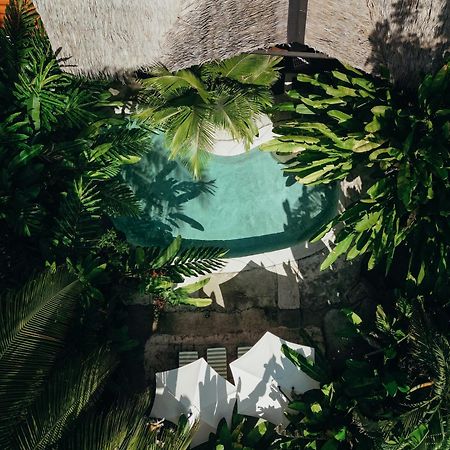 Conga Boutique Hotel Puerto Viejo de Talamanca 外观 照片