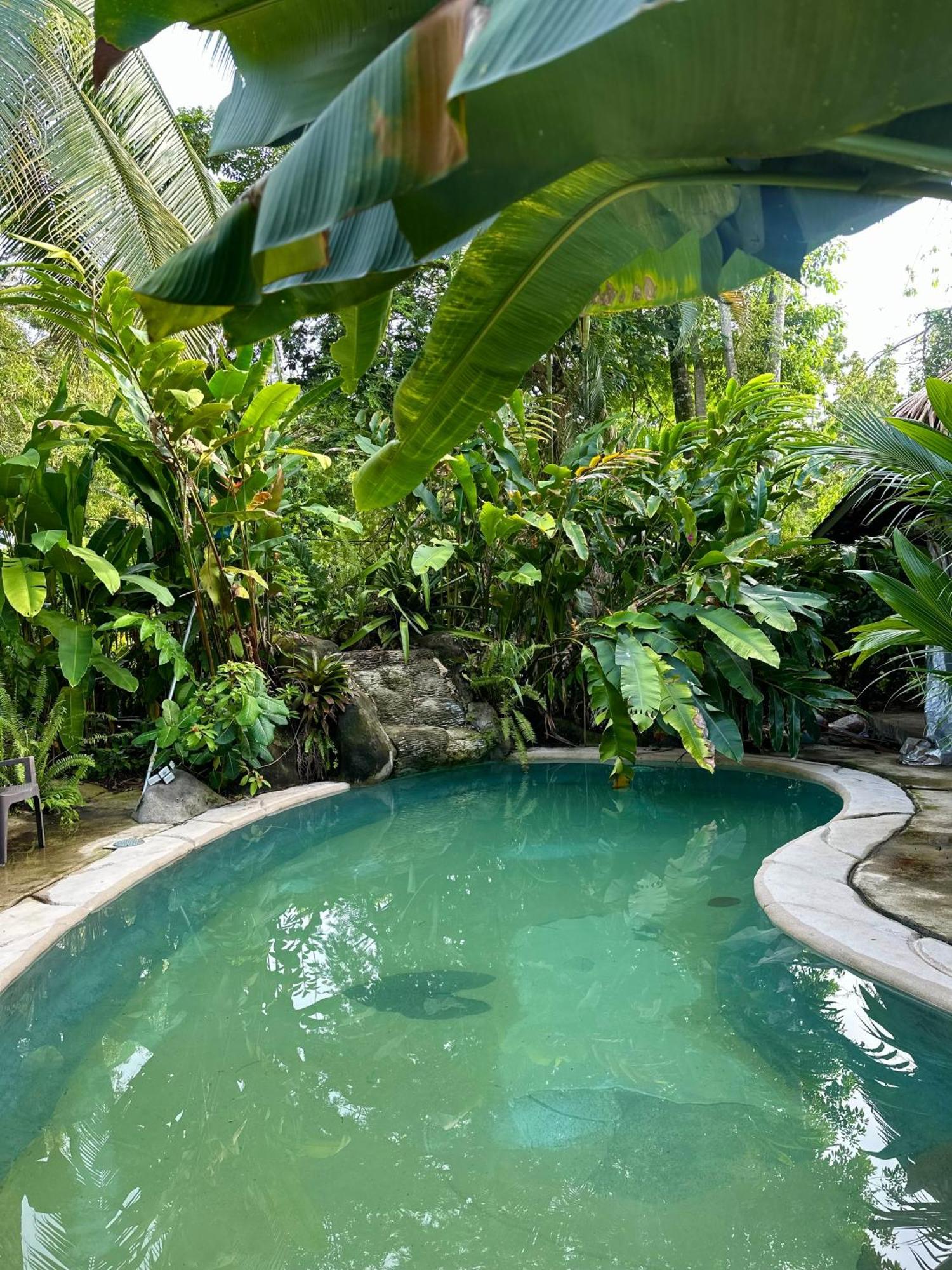 Conga Boutique Hotel Puerto Viejo de Talamanca 外观 照片