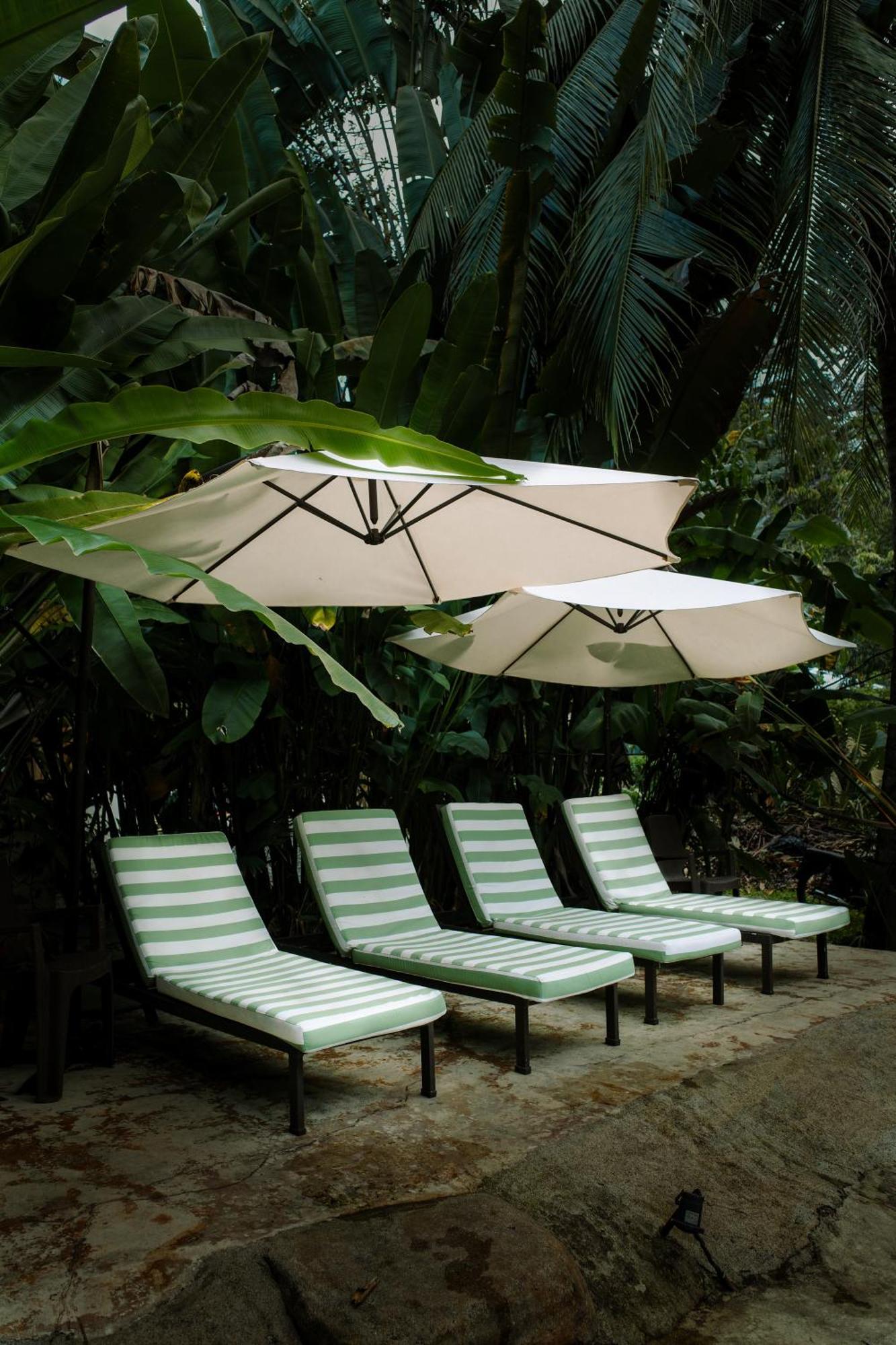 Conga Boutique Hotel Puerto Viejo de Talamanca 外观 照片