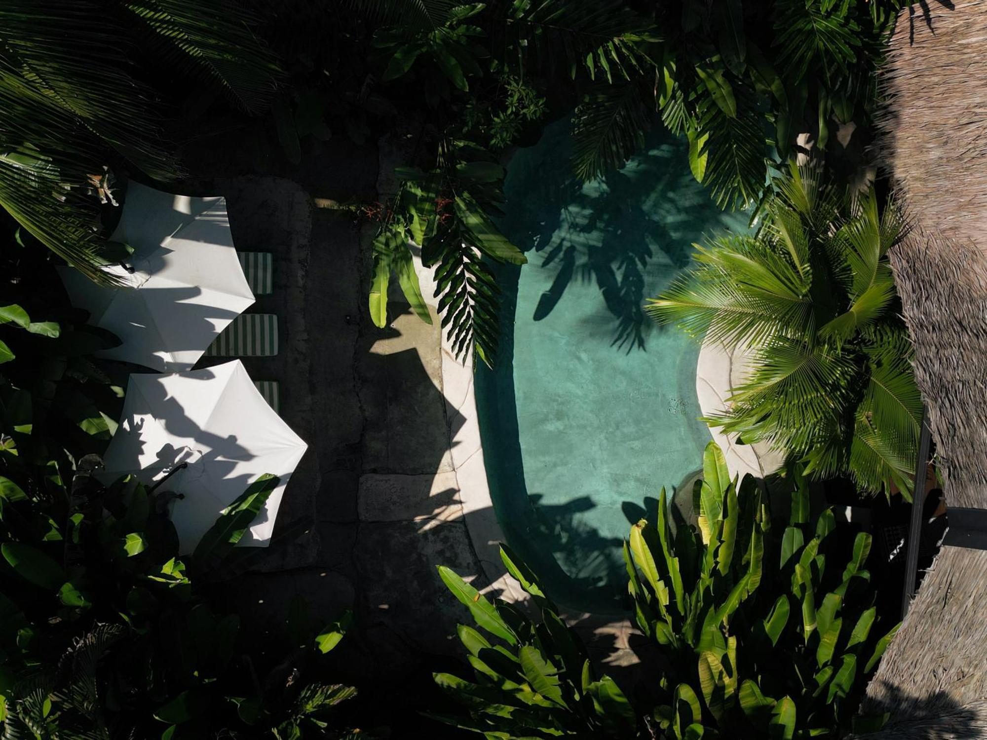 Conga Boutique Hotel Puerto Viejo de Talamanca 外观 照片