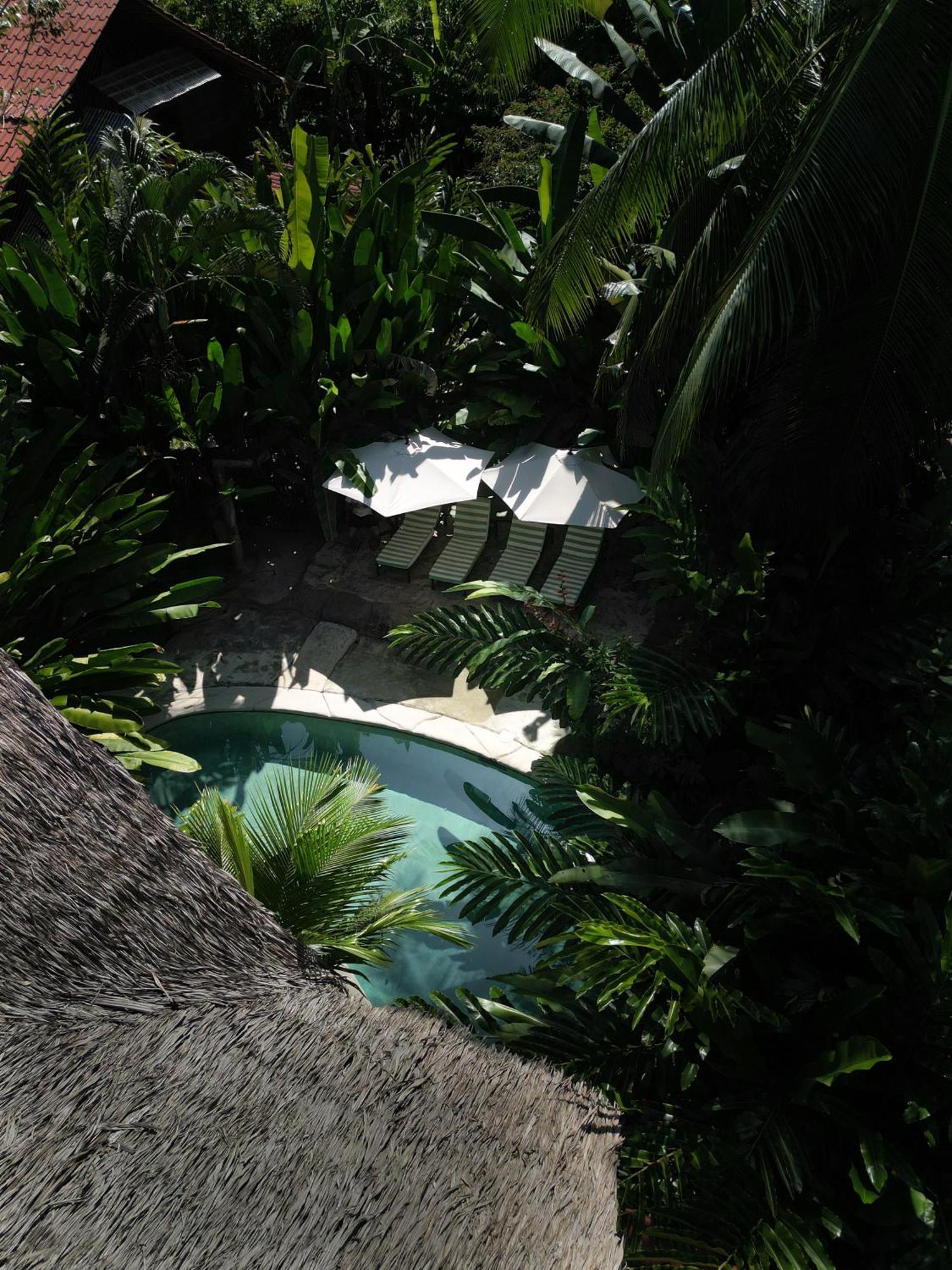 Conga Boutique Hotel Puerto Viejo de Talamanca 外观 照片